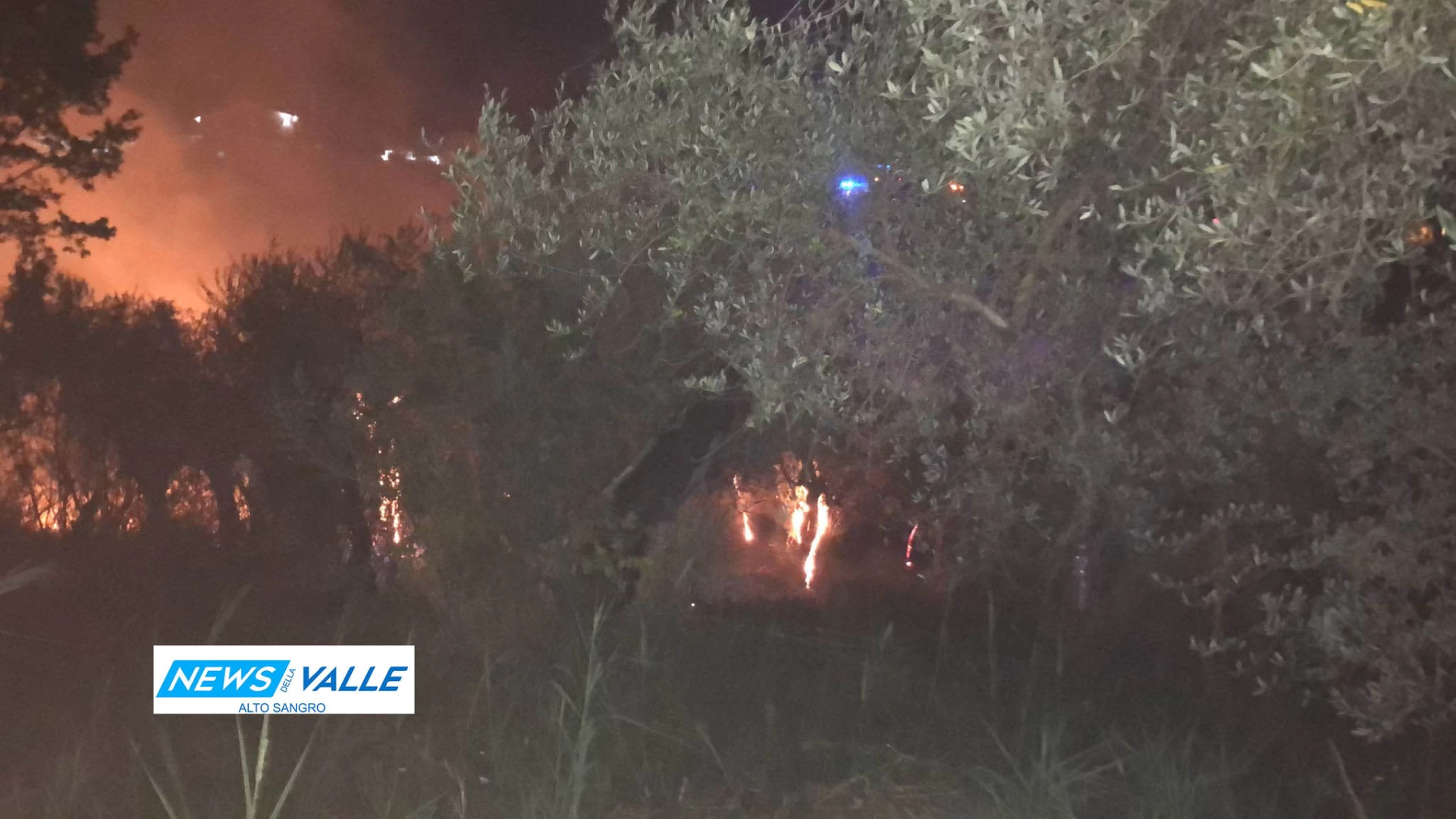Fornelli: vasto incendio tra la zona “Bivio” e località “Chiuselle”. Diversi gli oliveti lambiti dalle fiamme. In azione Vigili del Fuoco e Protezione Civile.